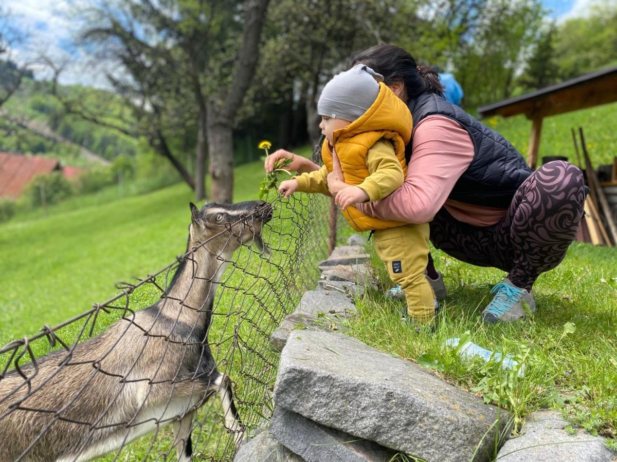 Villa Domcek V Strani Mýto pod Ďumbierom Esterno foto