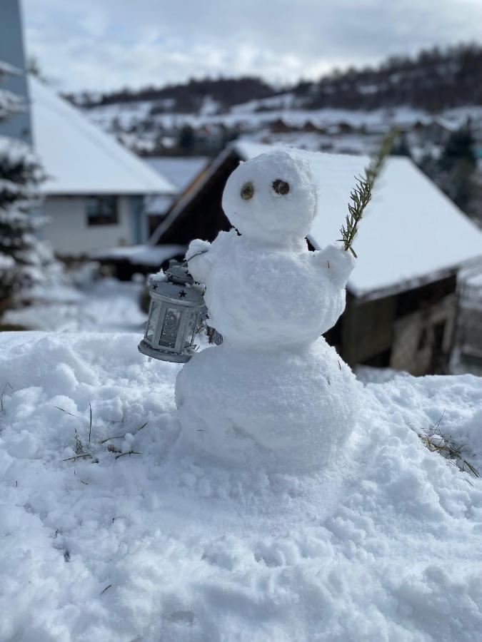 Villa Domcek V Strani Mýto pod Ďumbierom Esterno foto